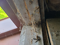 Darryl's Basement Cleaners - Photo 3 - Car repair in Bridgeport, CT, Bridgeport