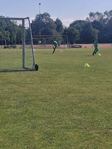 Mannheimer Fußballclub Phönix 02