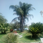 Photo n°8 de l'avis de Massimo.i fait le 22/07/2019 à 05:56 sur le  La Cortigiana Del Re à Somma Vesuviana