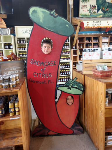 Drug Store «Walgreens», reviews and photos, 10427 Big Bend Rd, Riverview, FL 33578, USA