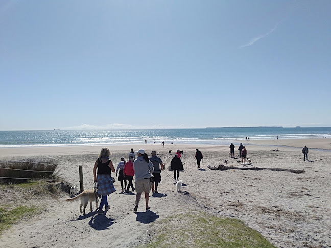 Papamoa Coastal Reserve