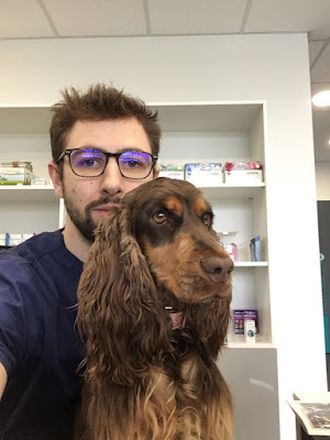 Clinique vétérinaire Albanord à Montauban