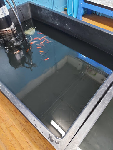 Tropical Fish Store «Tropi-Quatics Pet Center», reviews and photos, 337 S Main St, Lombard, IL 60148, USA