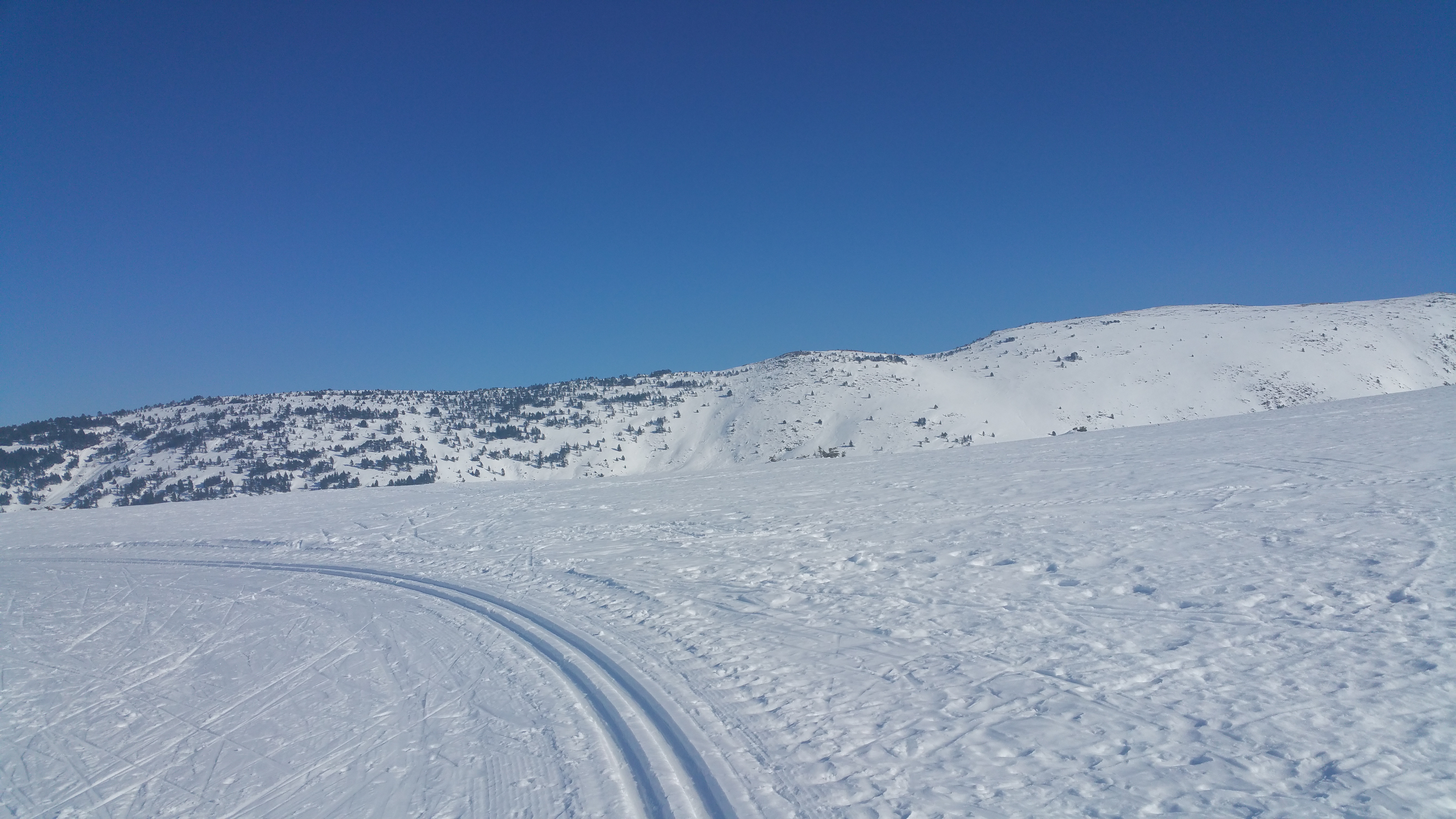 Photo n° 1 de l'avis de Régis.R fait le 25/02/2019 à 09:08