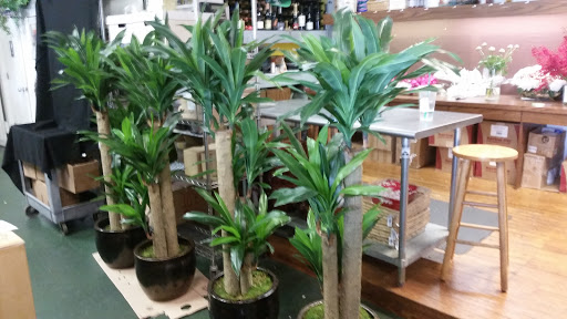 Florist «Flowers & Found Objects», reviews and photos, 521 E Las Olas Blvd, Fort Lauderdale, FL 33301, USA