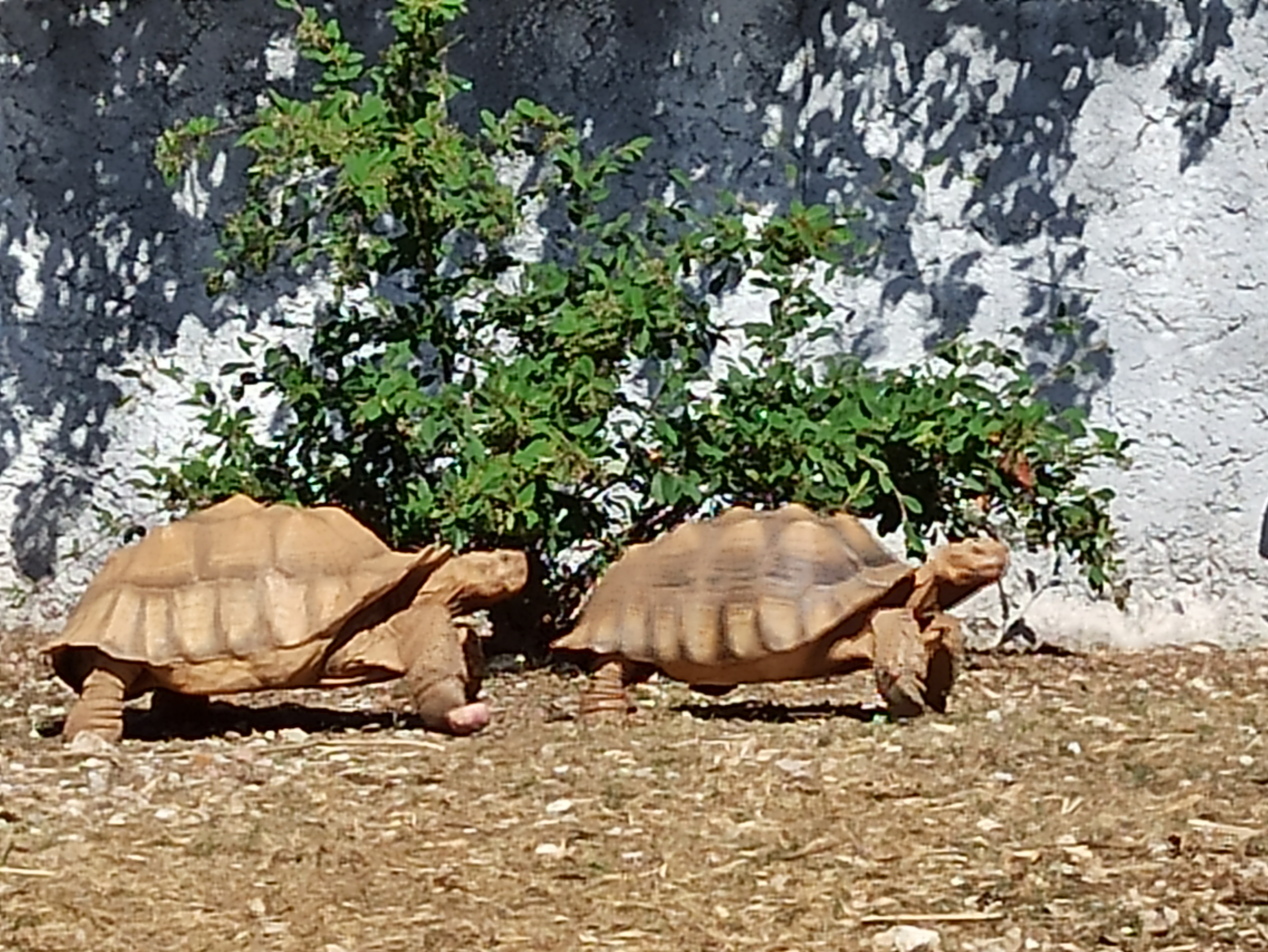 Photo n° 4 de l'avis de Pam.a fait le 19/07/2023 à 20:50