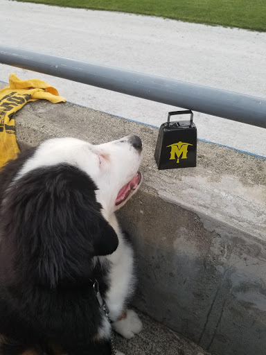 Stadium «Skylands Stadium», reviews and photos, 94 Championship Place, Augusta, NJ 07822, USA