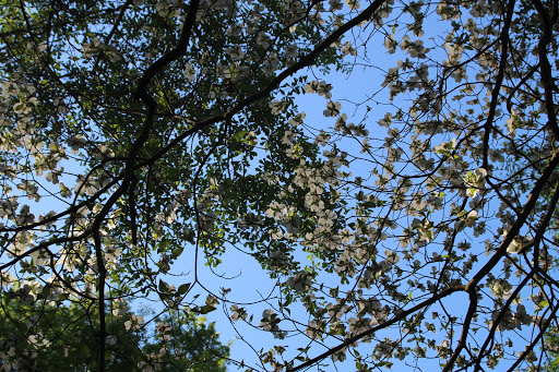 Park «Riverside Park», reviews and photos, 575 Riverside Rd, Roswell, GA 30075, USA