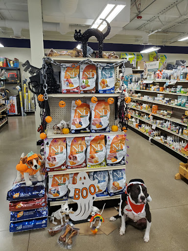 Creative Pet Grooming