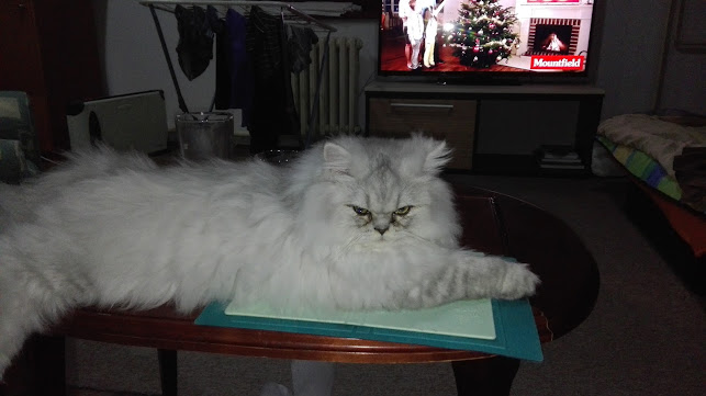 Comentarii opinii despre Veterinární klinika Trnová - MVDr. Markéta Marečková