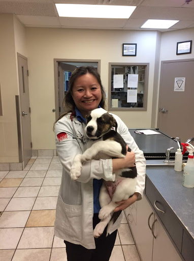 Markham Veterinary Clinic image
