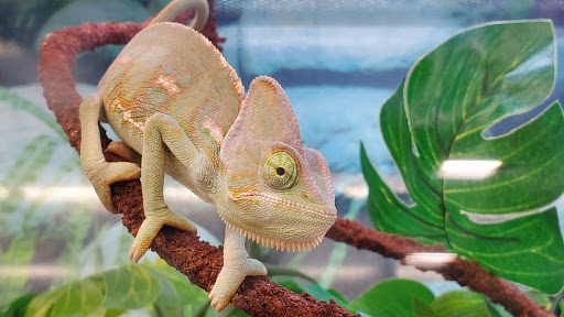 Pet Supply Store «Petco Animal Supplies», reviews and photos, 18578 Coastal Hwy #12, Rehoboth Beach, DE 19971, USA