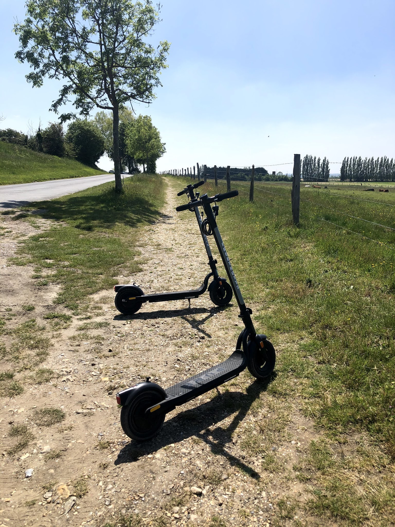 Photo n° 4 de l'avis de Clémentine.a fait le 30/05/2021 à 19:19