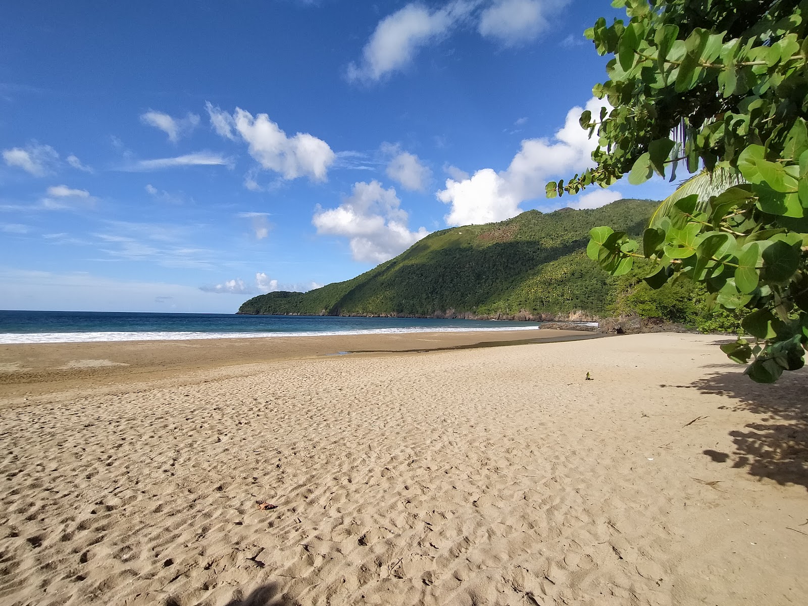 Photo of El Valle Beach located in natural area