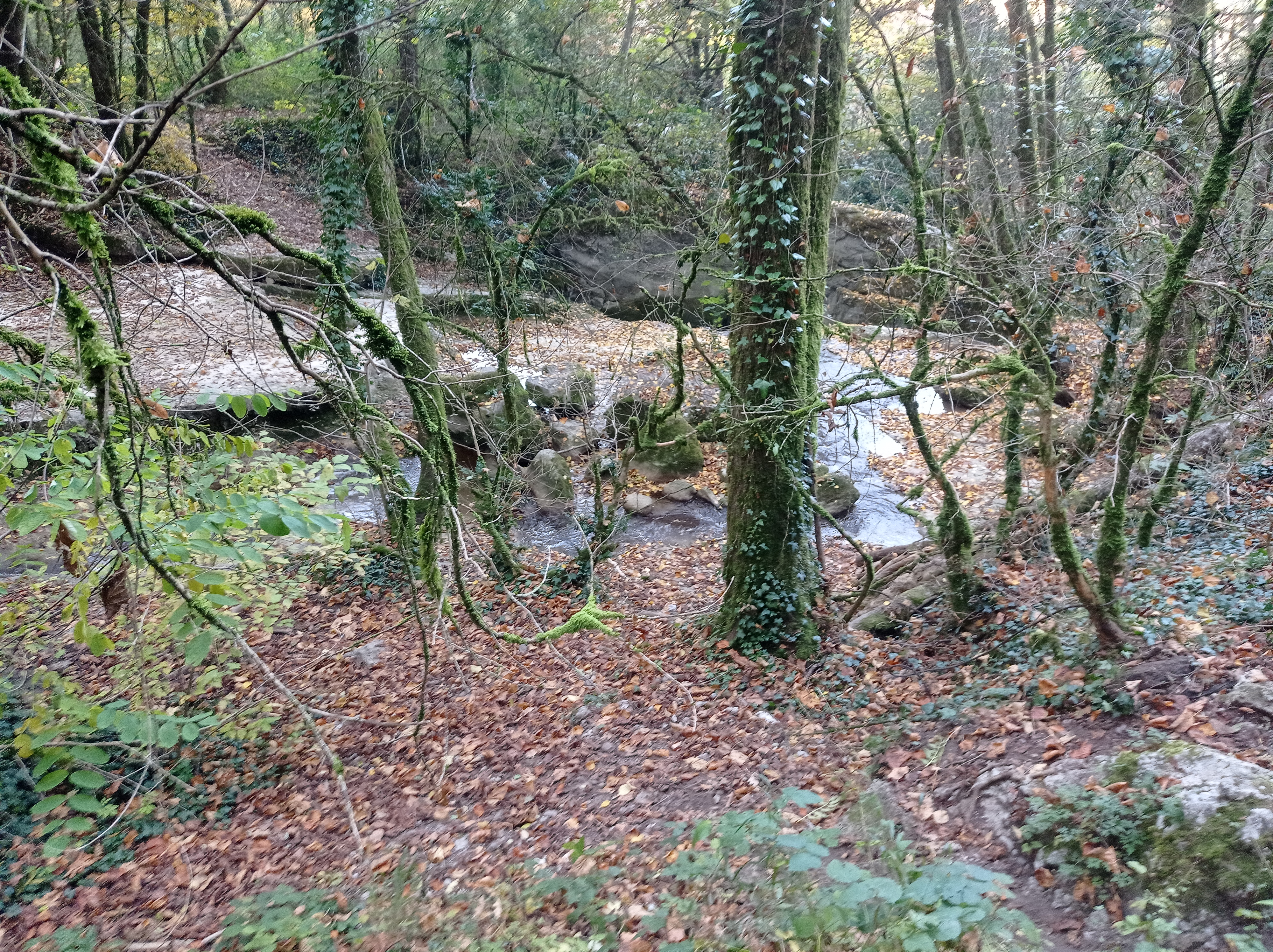 Photo n° 4 de l'avis de Gilles.E fait le 24/11/2021 à 18:53
