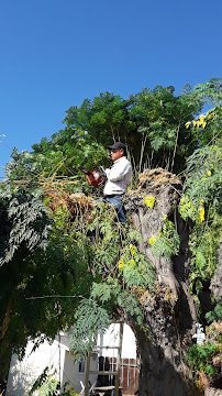 Angelo's Gardening - Photo 8 - Car repair in Livingston, CA, Merced