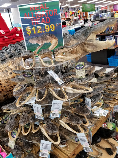 Grocery Store «Goodies Supermarket», reviews and photos, 8550 International Dr, Orlando, FL 32819, USA