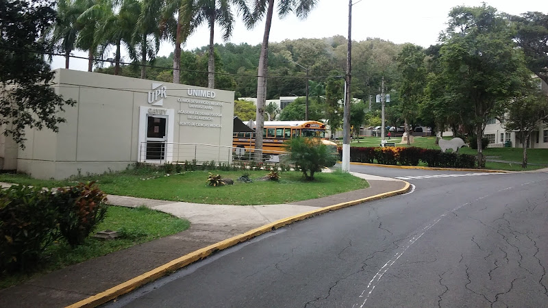 Universidad de Puerto Rico - Recinto de Cayey