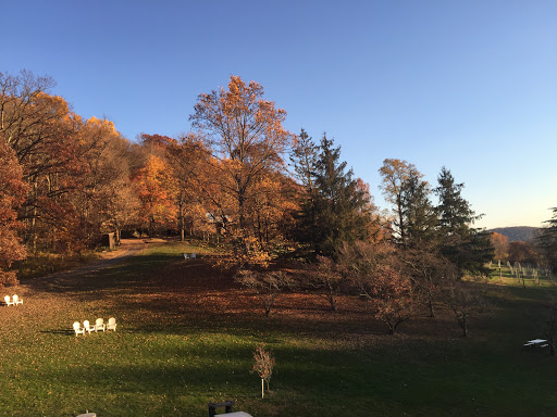 Vineyard «Naked Mountain Winery & Vineyards», reviews and photos, 2747 Leeds Manor Rd, Markham, VA 22643, USA