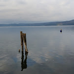 Photo n°1 de l'avis de Antonio. fait le 20/10/2019 à 10:25 sur le  Il Caratello Trevignano Romano à Trevignano Romano