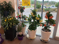 Songs Cleaner & Alteration - Photo 8 - Car repair in Harvest, AL, Huntsville