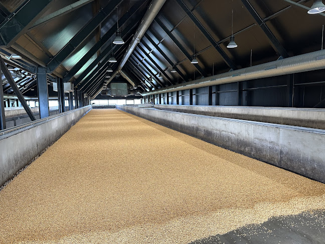 Stauning Whisky - Skjern