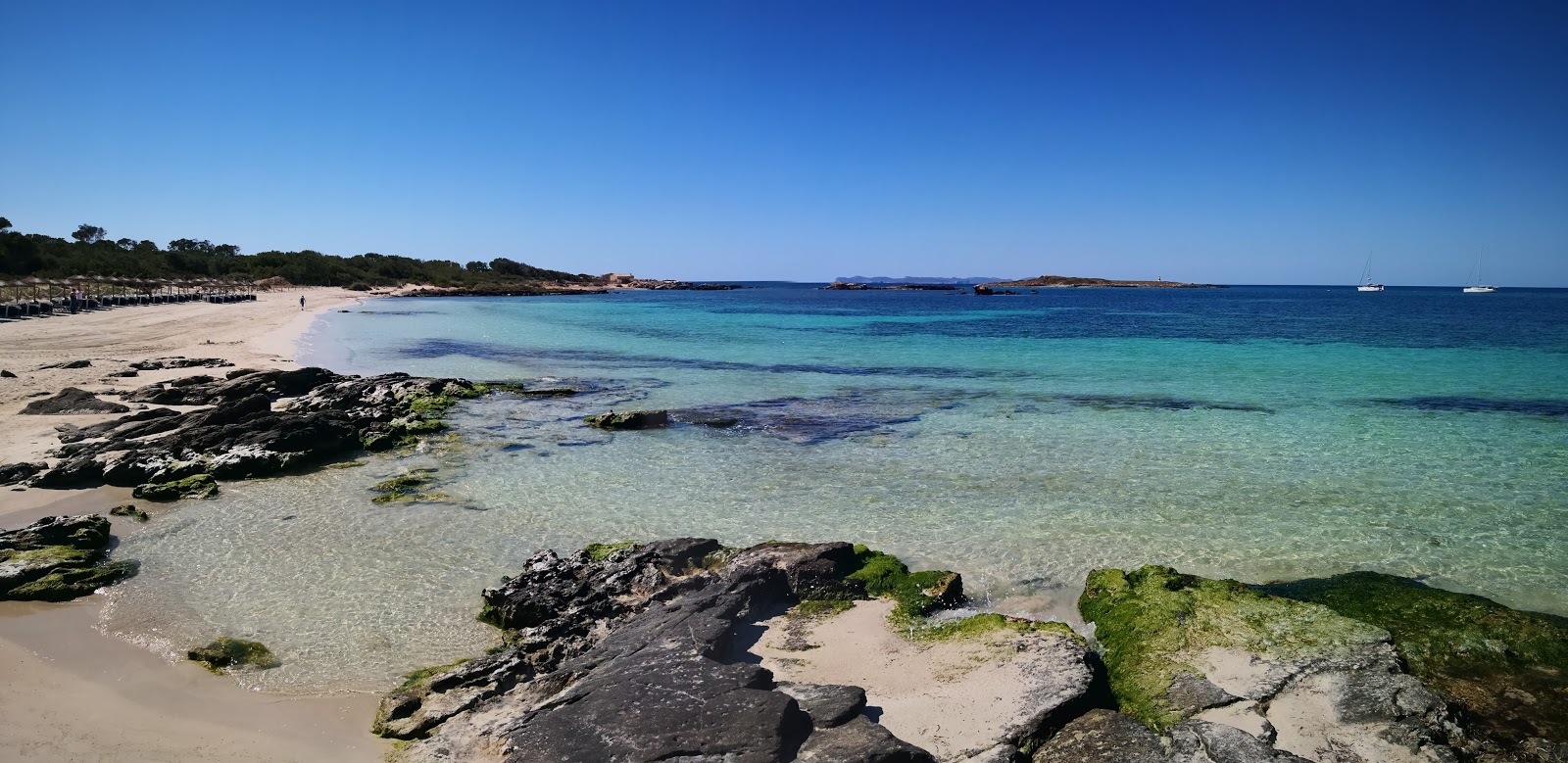 Foto von Playa De Sa Roquetas mit feiner beiger sand Oberfläche