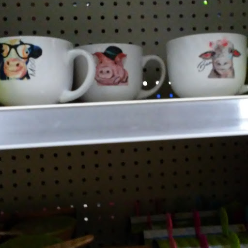 Discount Store «Dollar General», reviews and photos, 5229 N State Hwy 6, Woodway, TX 76712, USA