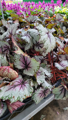 Home Improvement Store «The Home Depot», reviews and photos, 21010 Frederick Rd, Germantown, MD 20876, USA