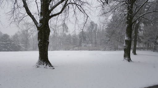 Golf Club «The Creek Club», reviews and photos, 1 Horse Hollow Rd, Locust Valley, NY 11560, USA