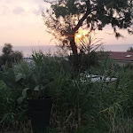 Photo n°2 de l'avis de Sebastiano.i fait le 16/09/2022 à 12:06 sur le  Baracchina Nicla à Livorno