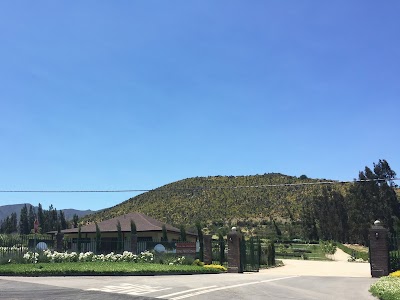 Photos of Cementerio Parque Del Choapa