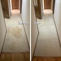 Seattle Steamers | Specialty Cleaning - Photo 6 - Car repair in Everett, WA, Seattle