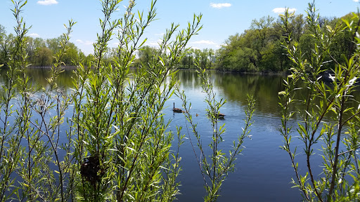 Park «Langton Lake Park», reviews and photos, 1894 County Rd C2 W, Roseville, MN 55113, USA