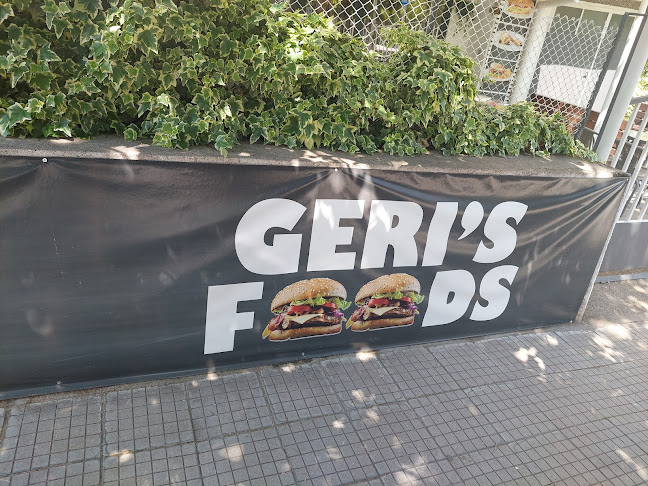 Geris foods