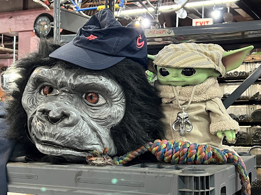 Bicycle Store «Working Bikes», reviews and photos, 2434 S Western Ave, Chicago, IL 60608, USA