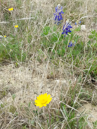 Winery «Arc De Texas», reviews and photos, 4555 US-281, Johnson City, TX 78636, USA