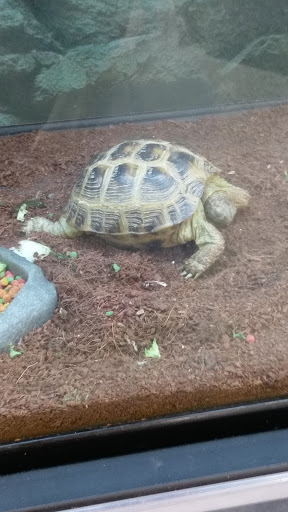 Petco image