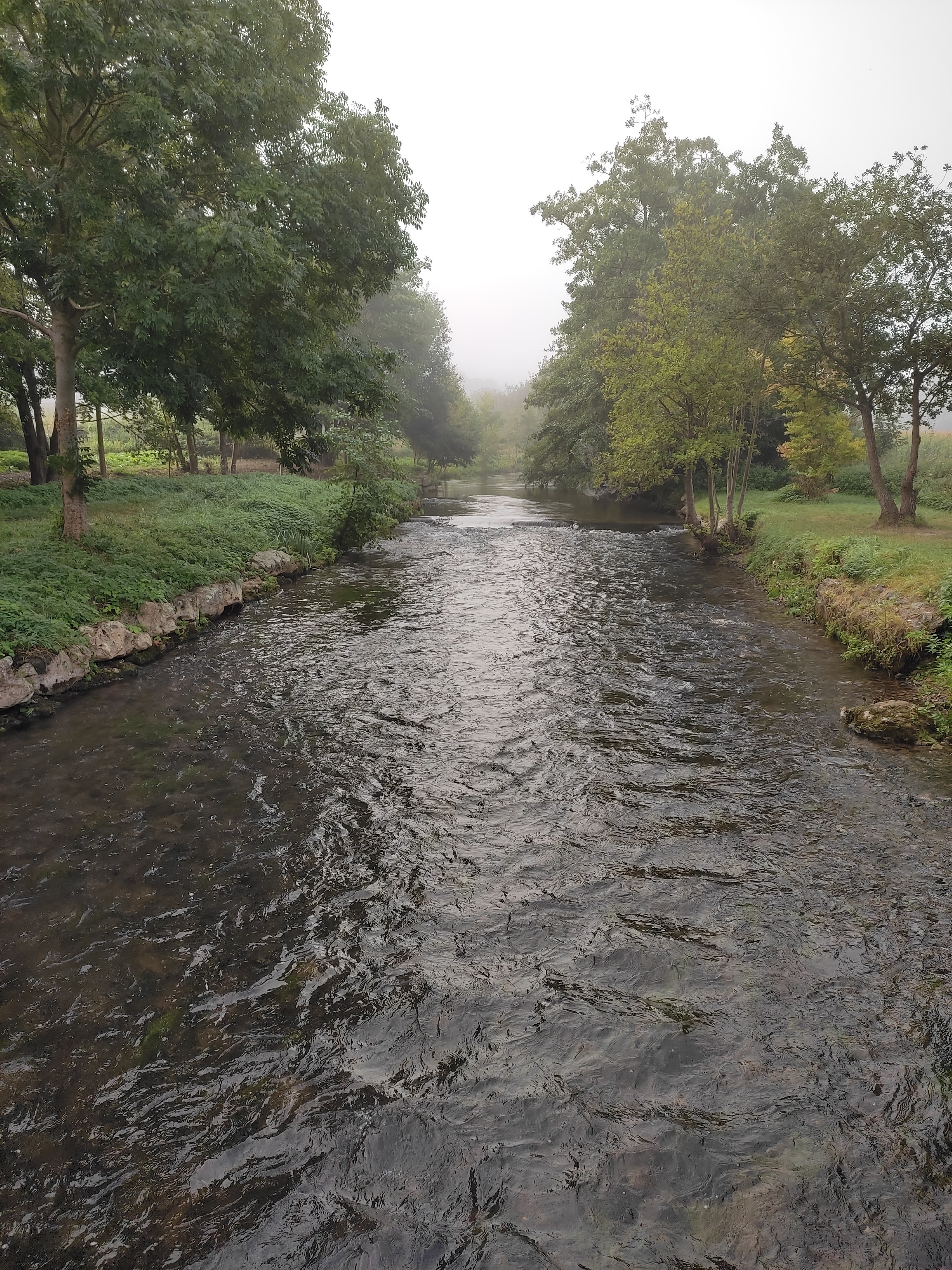 Photo n° 3 de l'avis de Nadine.A fait le 05/09/2021 à 15:41