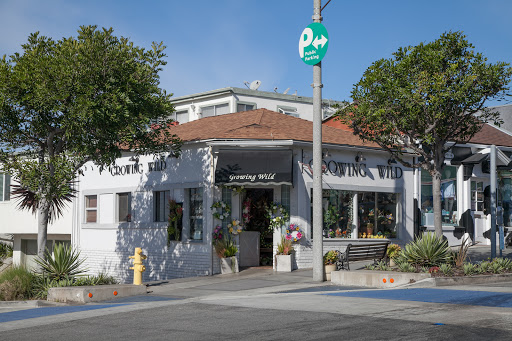 Florist «Growing Wild», reviews and photos, 1201 Highland Ave, Manhattan Beach, CA 90266, USA