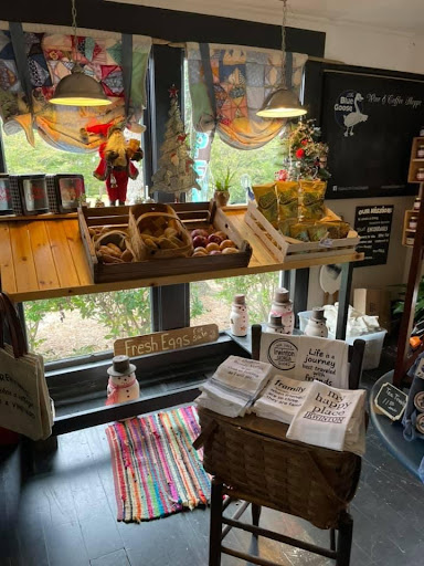 Hostel «Blue Goose Bike Hostel», reviews and photos, 128 E Main St, Irwinton, GA 31042, USA