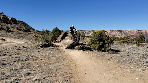 Bicycle Store «Element Sports», reviews and photos, 2009 S Loudoun St, Winchester, VA 22601, USA