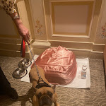 Photo n°5 de l'avis de Michael.e fait le 28/03/2022 à 17:10 sur le  Hôtel Principe di Savoia à Milan