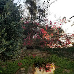 Photo n°2 de l'avis de Raymond.a fait le 13/10/2021 à 11:34 sur le  Hotel Foresteria Baglio della Luna à Agrigento