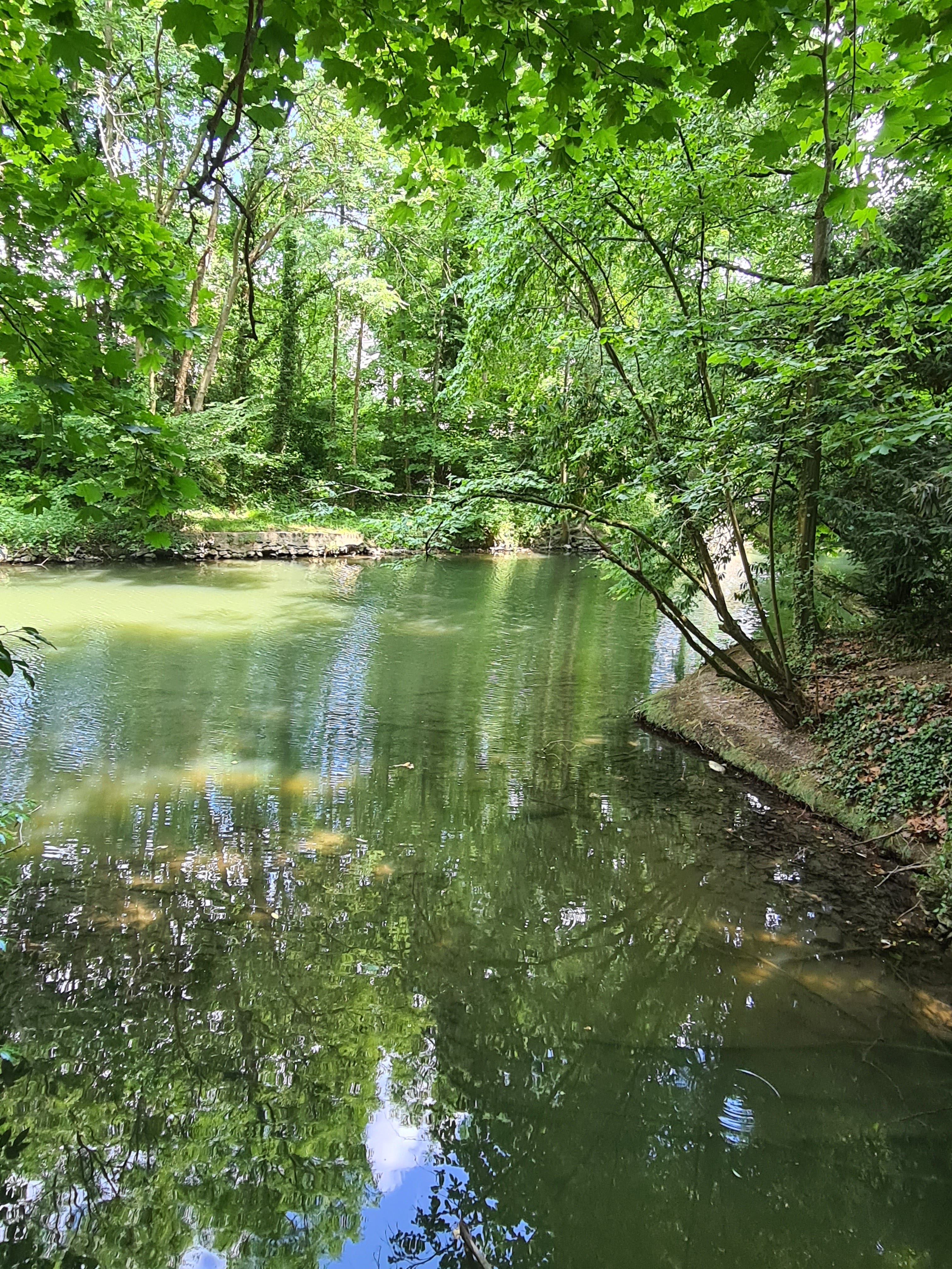 Photo n° 5 de l'avis de Sandrine.y fait le 10/06/2023 à 19:35