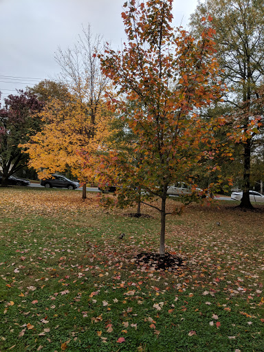 Park «Quincy Park», reviews and photos, 1021 N Quincy St, Arlington, VA 22201, USA