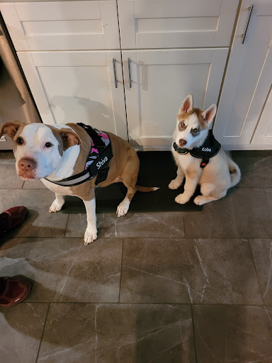 Pet Supply Store «PetSmart», reviews and photos, 7225 Bell Creek Rd Ste 228, Mechanicsville, VA 23111, USA