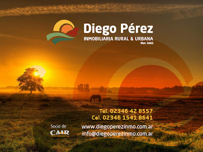 Diego Perez Inmobiliaria Rural y Urbana