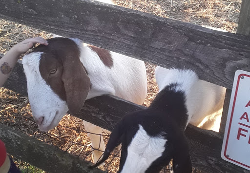 Golf Course «Waters Edge Mini Golf», reviews and photos, 230 N Ronks Rd, Bird in Hand, PA 17505, USA