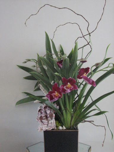 Florist «Shell Beach Floral Design», reviews and photos, 260 W Grand Ave, Grover Beach, CA 93433, USA